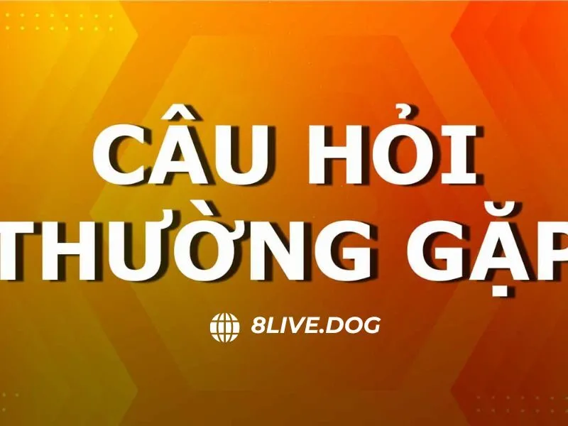 Câu hỏi thường gặp khi đăng nhập vào tài khoản 8live