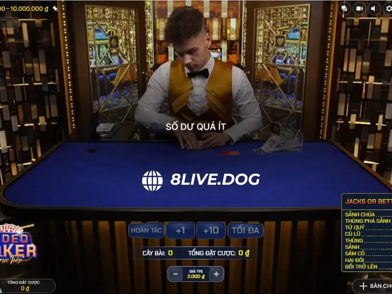 Điểm danh một số vòng cược hấp dẫn trong game