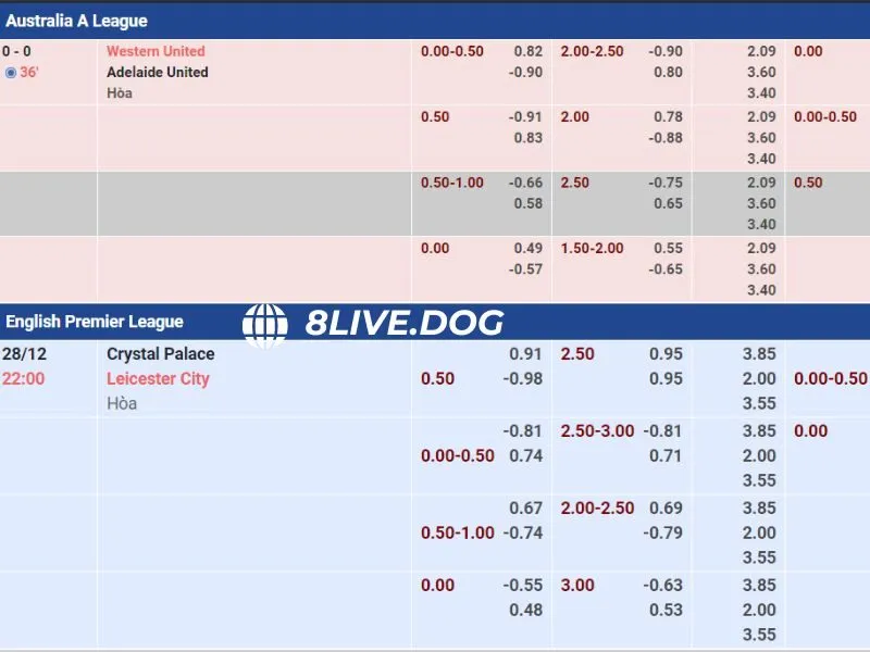 Hướng dẫn các bước đặt cược cơ bản cho tân thủ