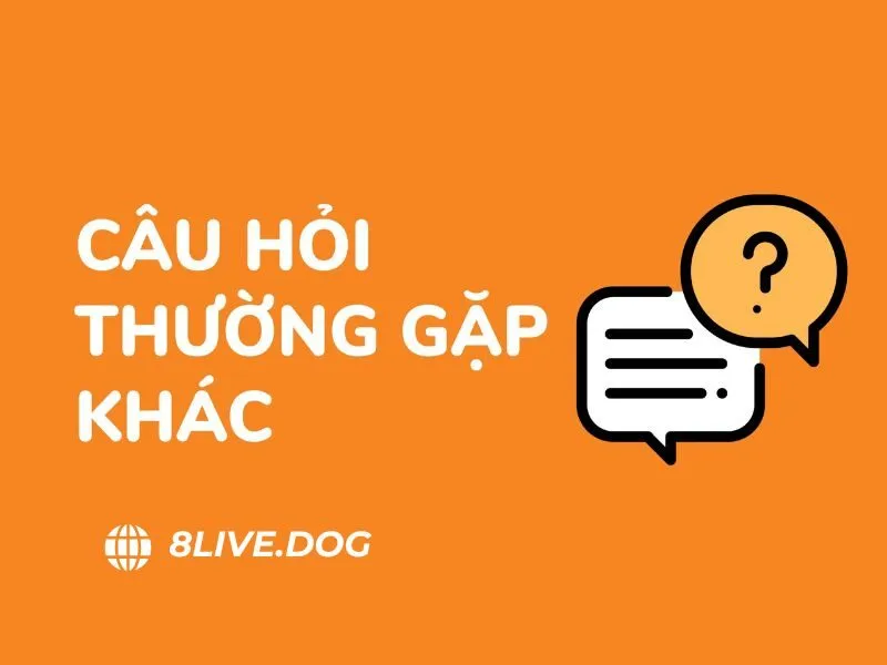 Thông tin về các chính sách khuyến mãi được cung cấp