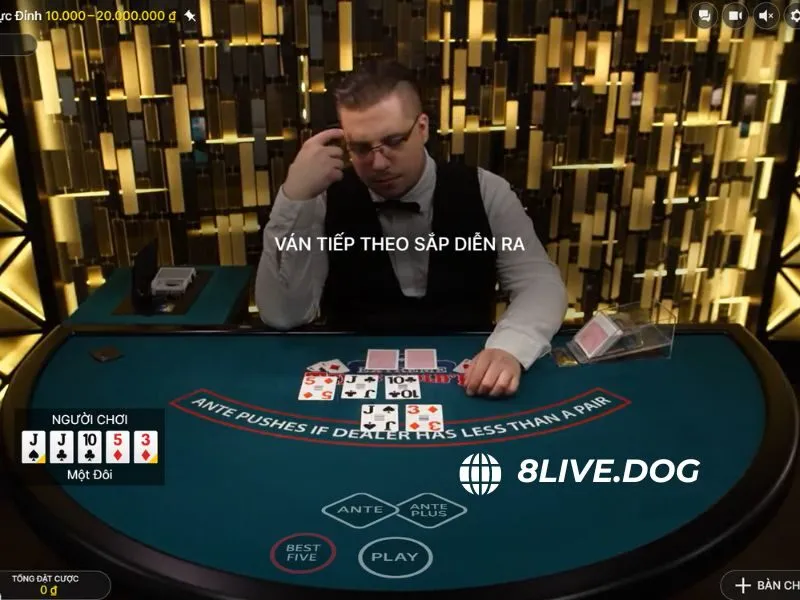 Vòng Turn có vai trò quan trọng vì làm thay đổi tình hình ván cược