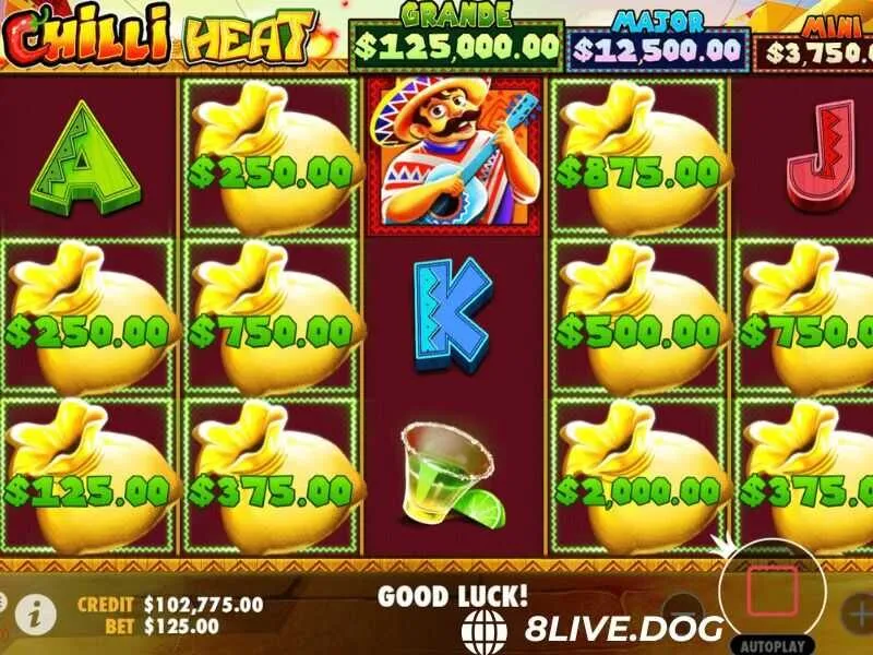 Hướng dẫn chi tiết quy trình đặt cược cho tân thủ