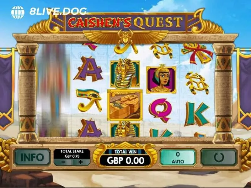 Hướng dẫn người chơi quy trình đặt cược cơ bản